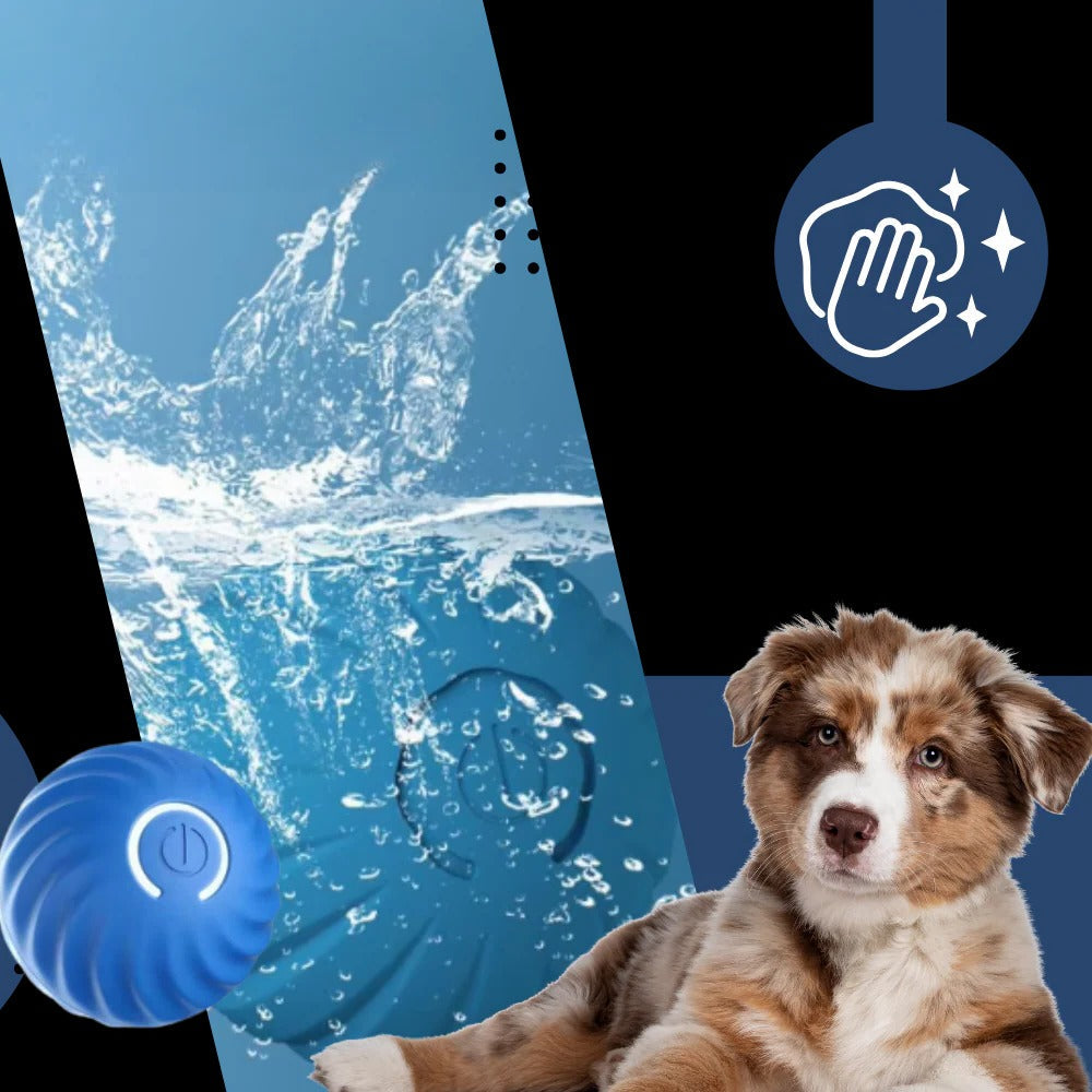 Colverro™ Self-Rolling Dog Ball with Obstacle Avoidance, Rechargeable