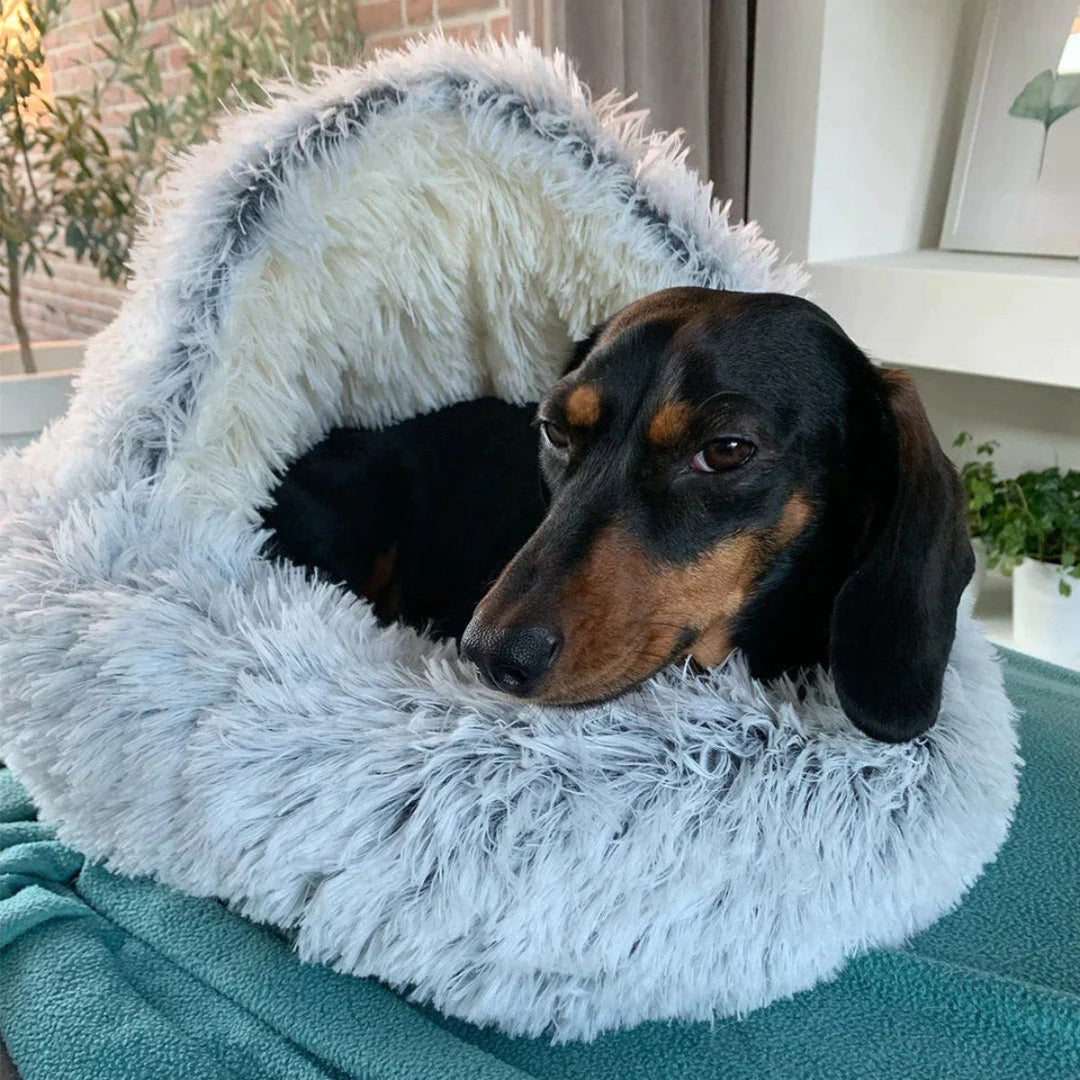 Colverro™ Calming Cave Dog Bed with Cozy Covered Nest Design