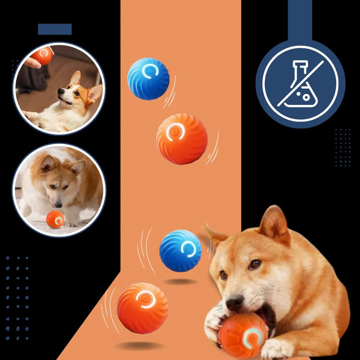 Colverro™ Self-Rolling Dog Ball with Obstacle Avoidance, Rechargeable