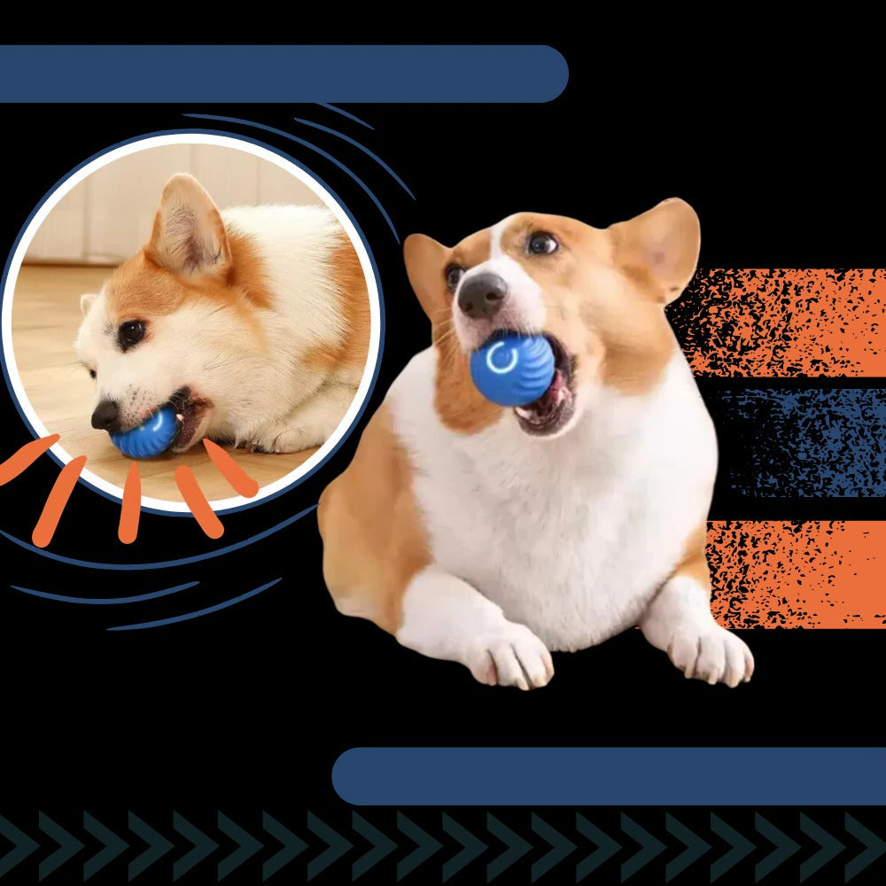 Colverro™ Self-Rolling Dog Ball with Obstacle Avoidance, Rechargeable