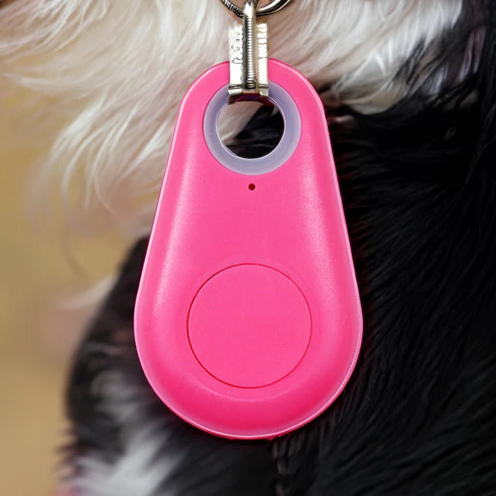 Colverro™ Bluetooth Pet Tracker with Find My Pet Beep and Safe Zones