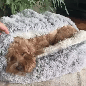 Colverro™ Calming Cave Dog Bed with Cozy Covered Nest Design