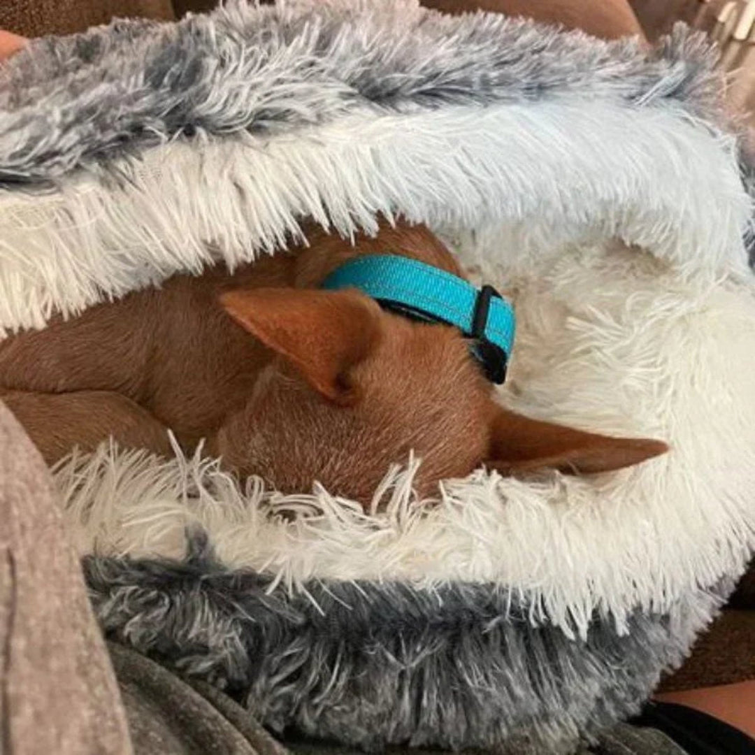 Colverro™ Calming Cave Dog Bed with Cozy Covered Nest Design
