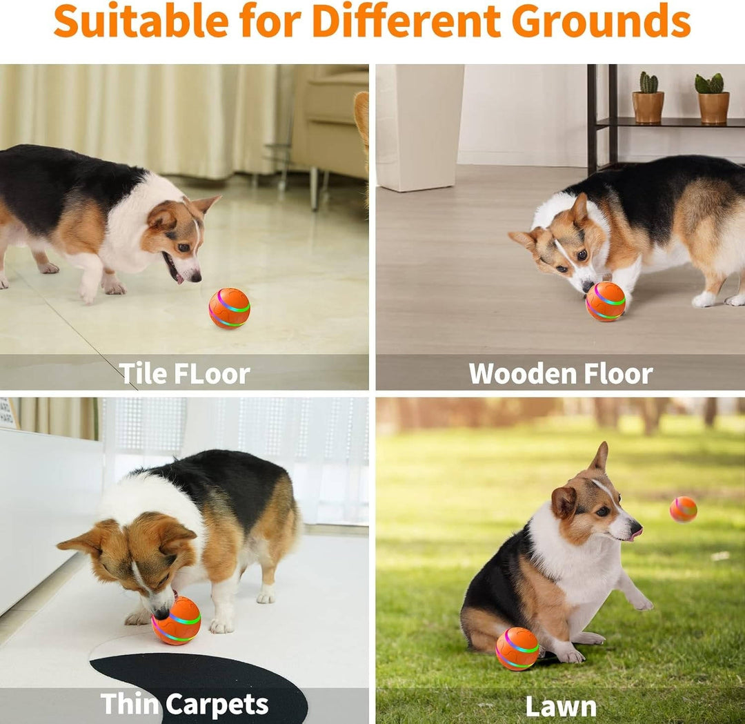 Colverro™ Remote Control Dog Ball with Motion Sensor and Lights