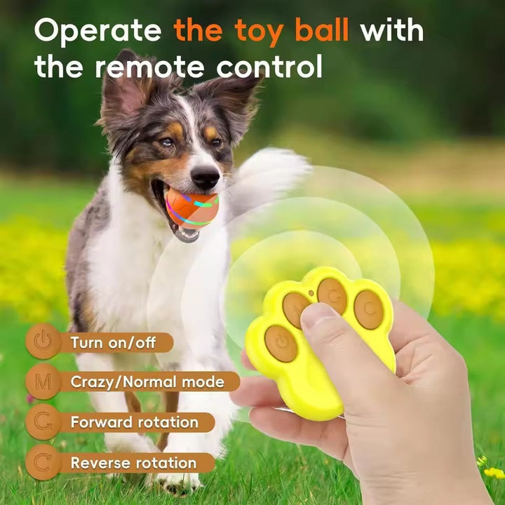 Colverro™ Remote Control Dog Ball with Motion Sensor and Lights