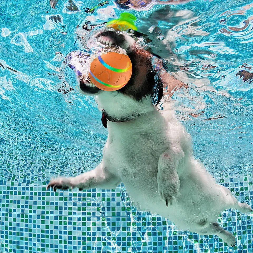 Colverro™ Remote Control Dog Ball with Motion Sensor and Lights