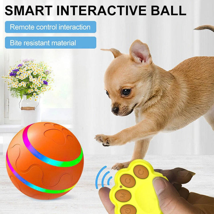 Colverro™ Remote Control Dog Ball with Motion Sensor and Lights