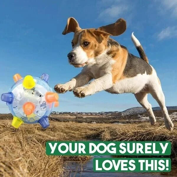 Colverro™ Interactive LED Jumping Ball for Dogs with Sound and Wiggle