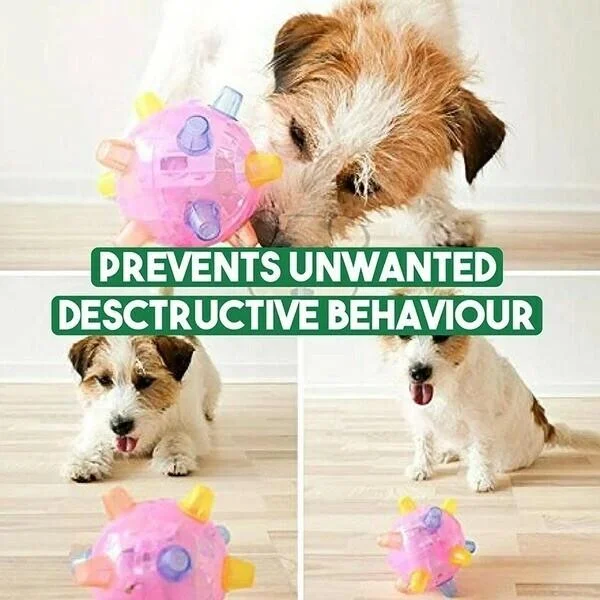 Colverro™ Interactive LED Jumping Ball for Dogs with Sound and Wiggle