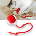 Colverro™ Self-Rolling Cat Toy Ball with Playful Rope Tail