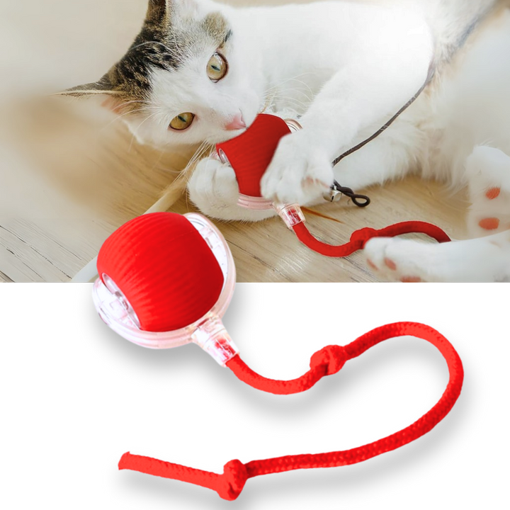 Colverro™ Self-Rolling Cat Toy Ball with Playful Rope Tail