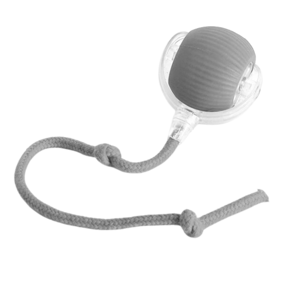 Colverro™ Self-Rolling Cat Toy Ball with Playful Rope Tail