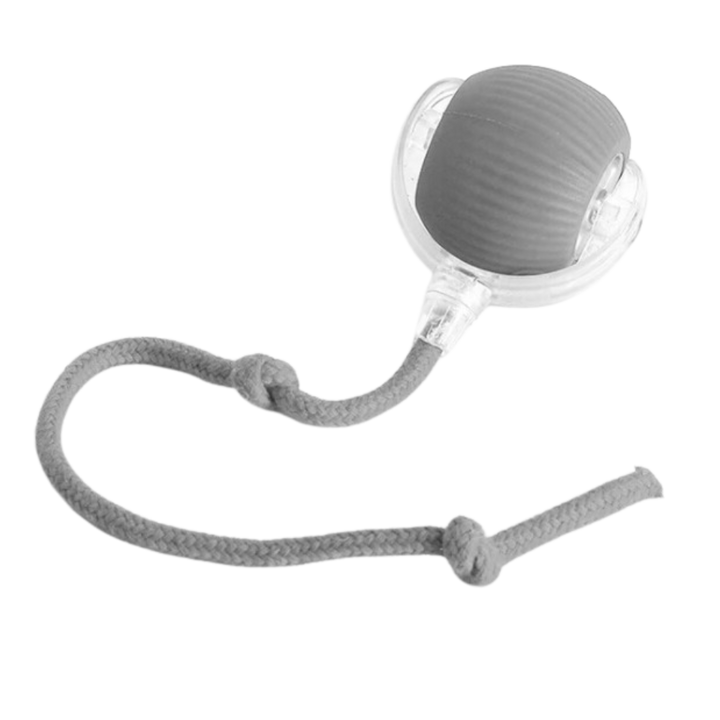 Colverro™ Self-Rolling Cat Toy Ball with Playful Rope Tail