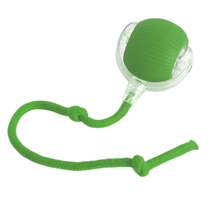Colverro™ Self-Rolling Cat Toy Ball with Playful Rope Tail