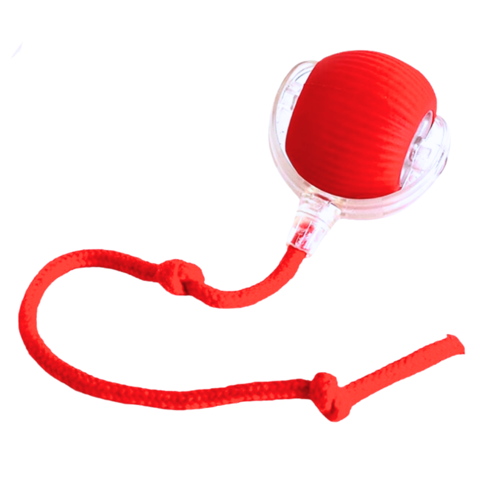 Colverro™ Self-Rolling Cat Toy Ball with Playful Rope Tail