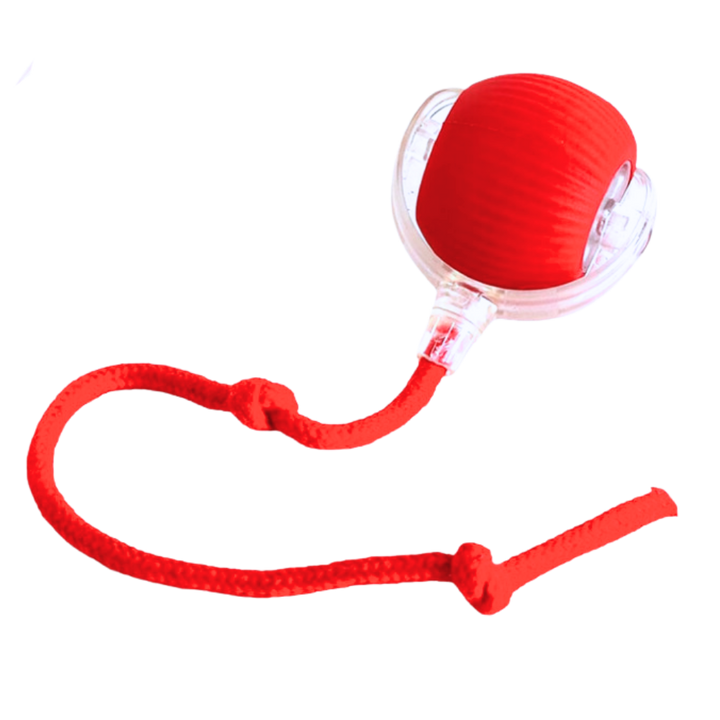 Colverro™ Self-Rolling Cat Toy Ball with Playful Rope Tail