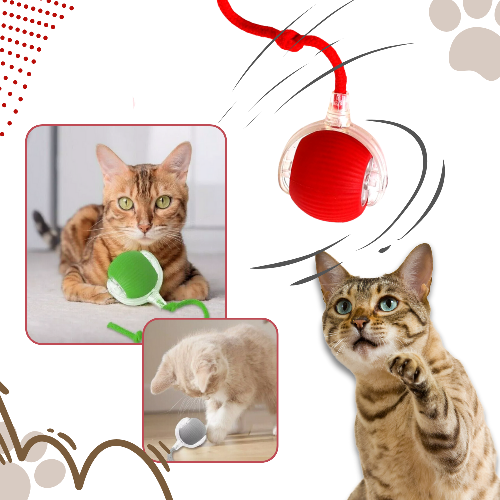 Colverro™ Self-Rolling Cat Toy Ball with Playful Rope Tail