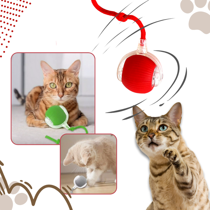 Colverro™ Self-Rolling Cat Toy Ball with Playful Rope Tail