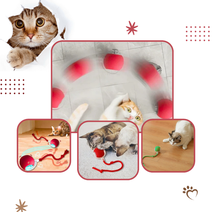 Colverro™ Self-Rolling Cat Toy Ball with Playful Rope Tail