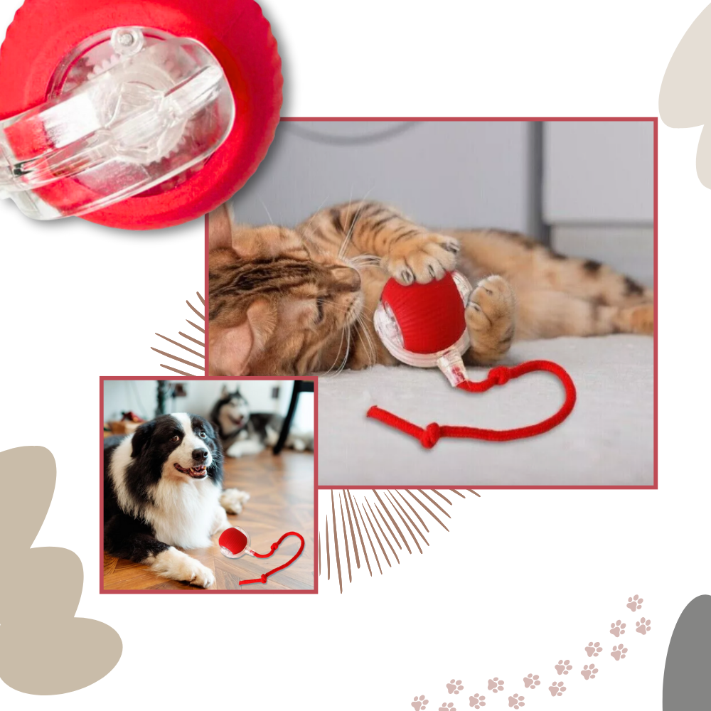 Colverro™ Self-Rolling Cat Toy Ball with Playful Rope Tail