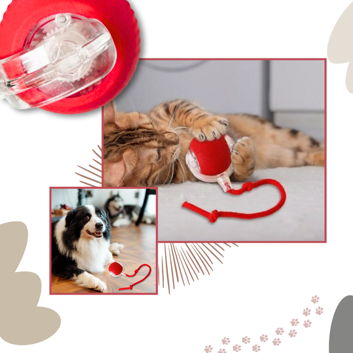 Colverro™ Self-Rolling Cat Toy Ball with Playful Rope Tail