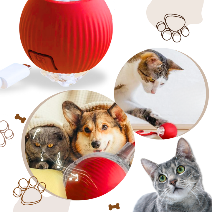 Colverro™ Self-Rolling Cat Toy Ball with Playful Rope Tail