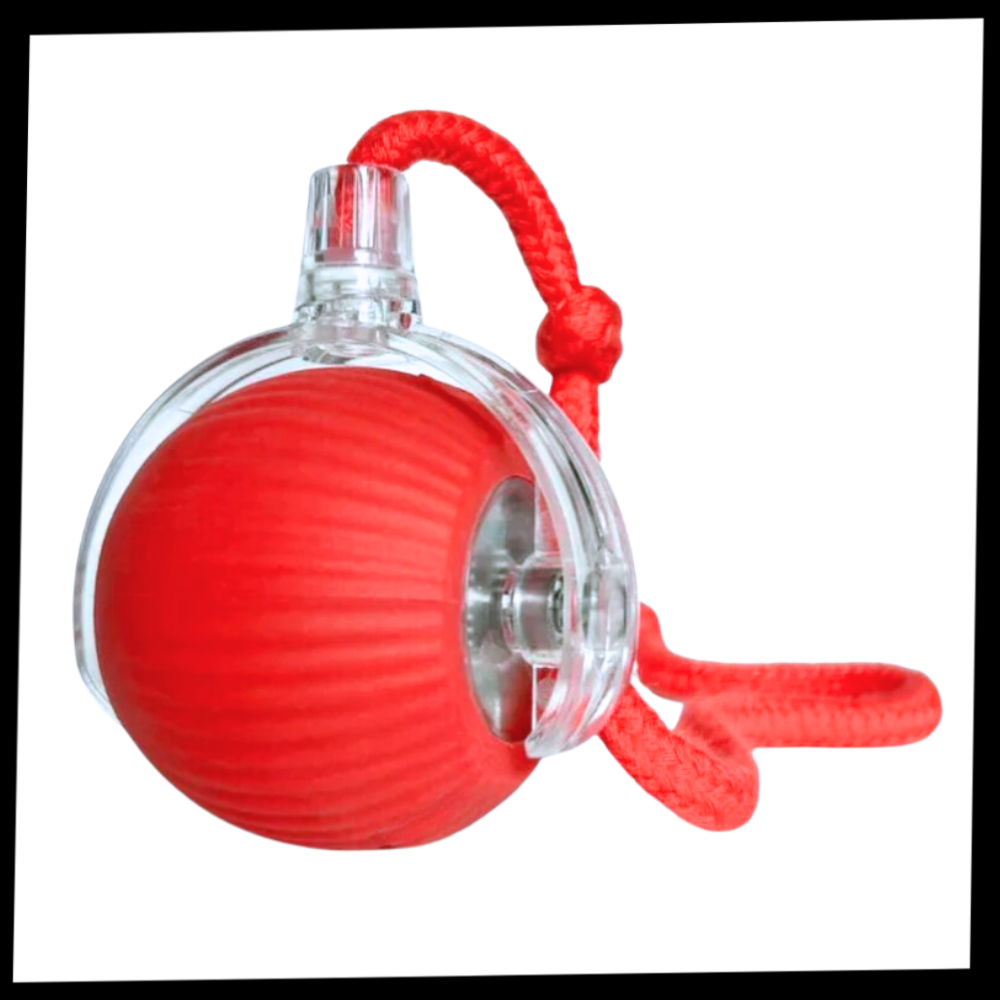 Colverro™ Self-Rolling Cat Toy Ball with Playful Rope Tail