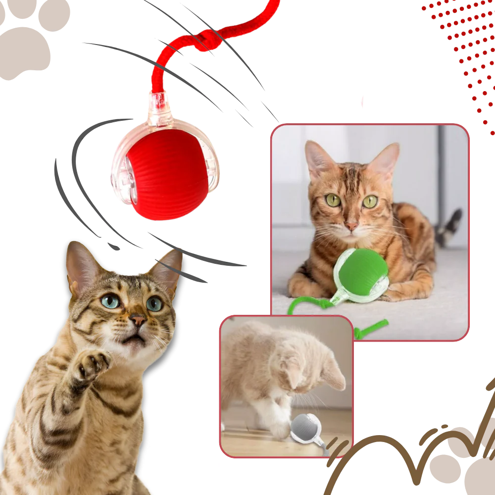 Colverro™ Smart Interactive Cat Ball That Rolls and Avoids Obstacles