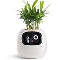 Colverro™ Smart Plant Pot with Self-Watering and Soil Monitoring