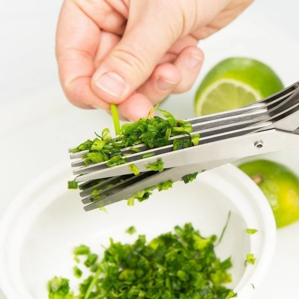 Colverro™ 5-Blade Herb Scissors in Stainless Steel with Cleaning Comb