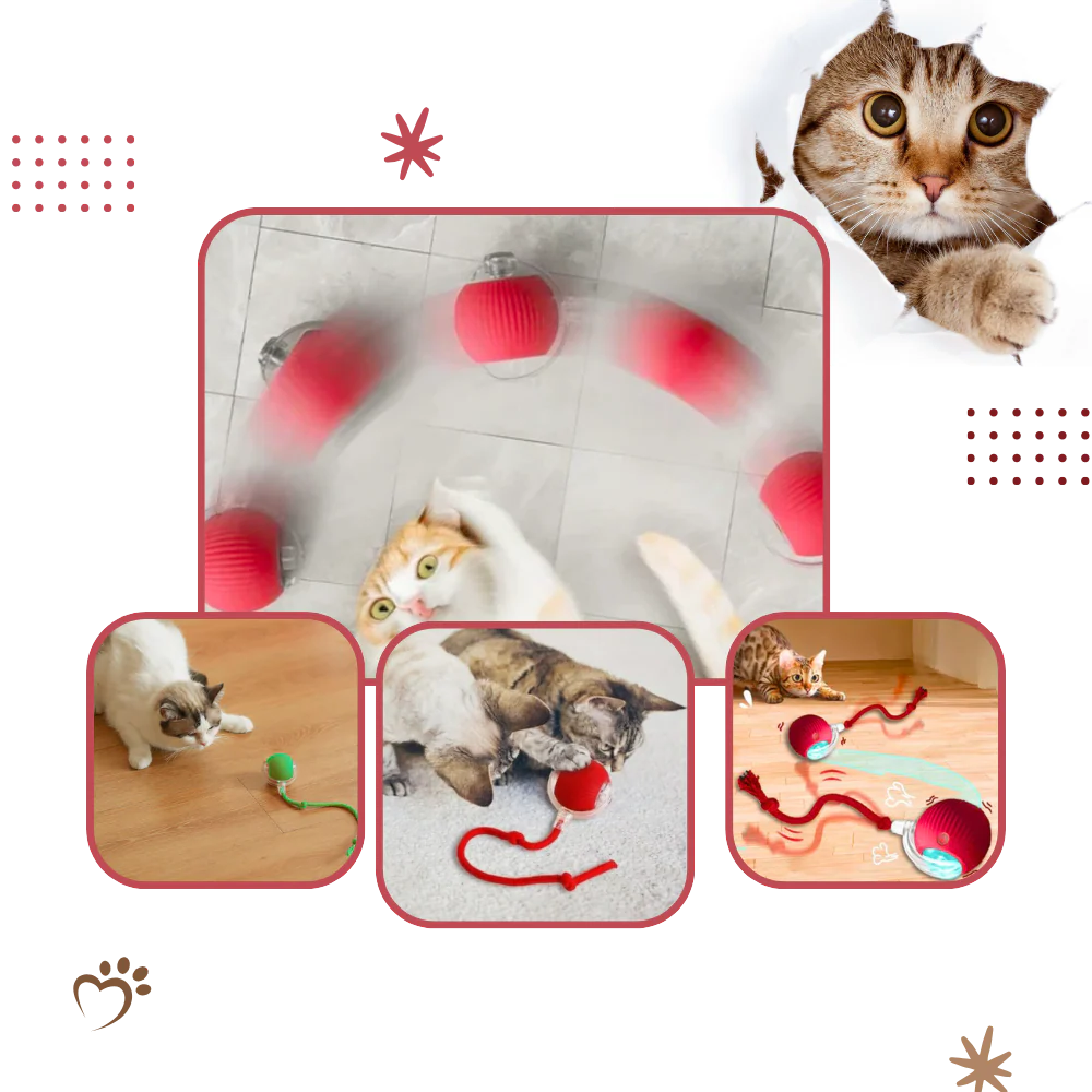 Colverro™ Smart Interactive Cat Ball That Rolls and Avoids Obstacles