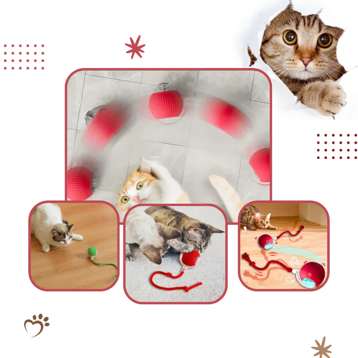 Colverro™ Automatic Cat Ball Toy with Smart Obstacle Detection