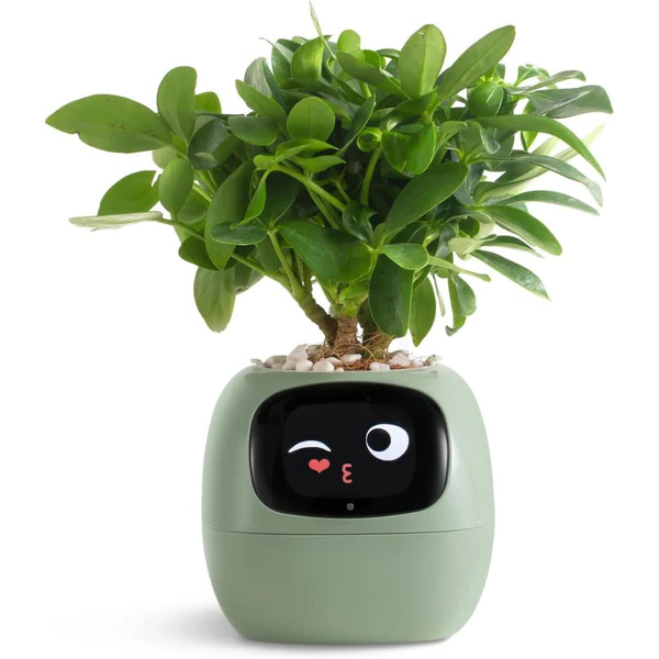 Colverro™ Smart Plant Pot with Self-Watering and Soil Monitoring