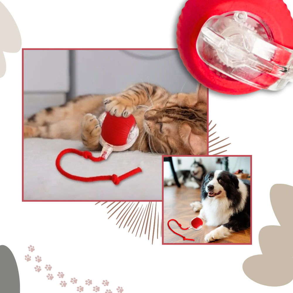 Colverro™ Smart Interactive Cat Ball That Rolls and Avoids Obstacles