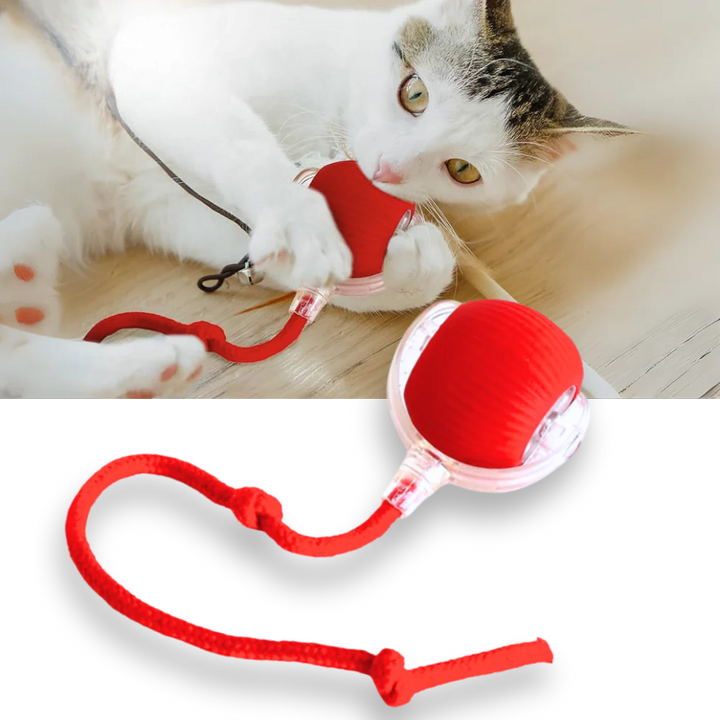 Colverro™ Automatic Cat Ball Toy with Smart Obstacle Detection