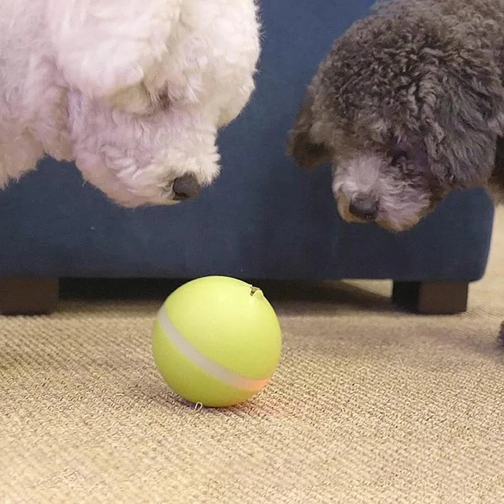 Colverro™ Self-Rolling Smart Ball Toy for Cats and Dogs with 3 Modes