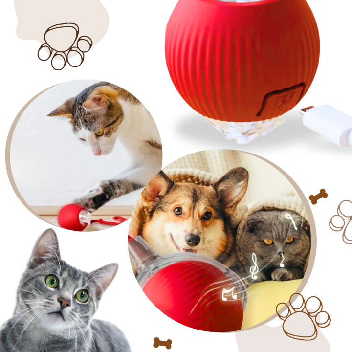Colverro™ Smart Interactive Cat Ball That Rolls and Avoids Obstacles