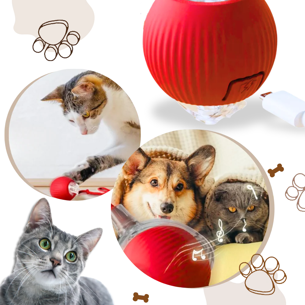 Colverro™ Automatic Cat Ball Toy with Smart Obstacle Detection