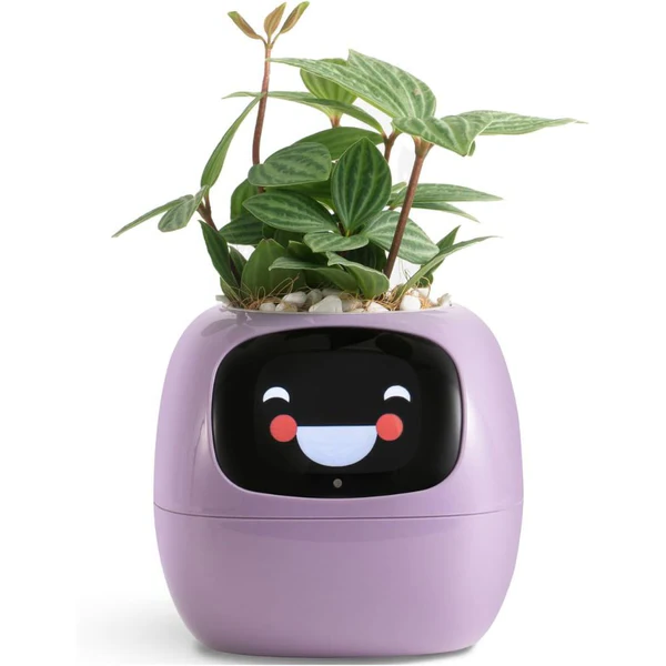Colverro™ Smart Plant Pot with Self-Watering and Soil Monitoring