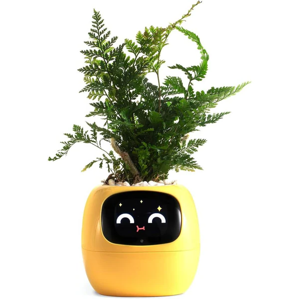Colverro™ Smart Plant Pot with Self-Watering and Soil Monitoring