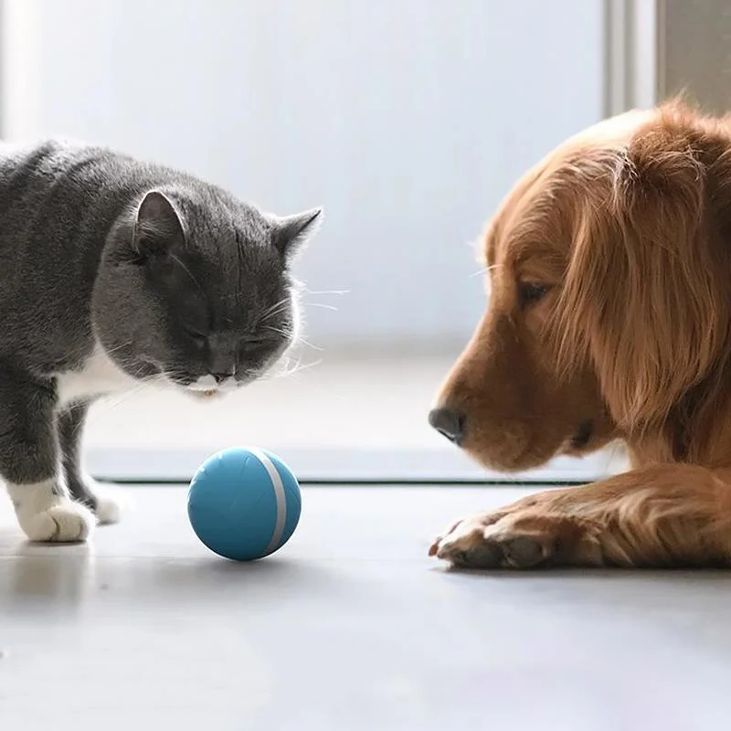 Colverro™ Self-Rolling Smart Ball Toy for Cats and Dogs with 3 Modes