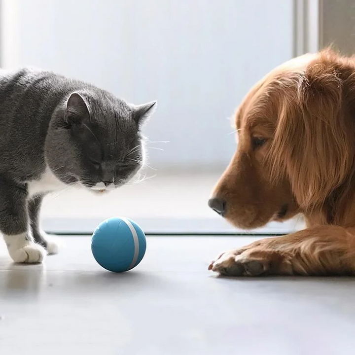 Colverro™ Self-Rolling Smart Ball Toy for Cats and Dogs with 3 Modes