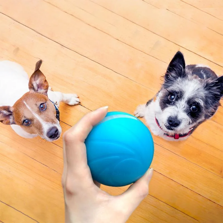 Colverro™ Self-Rolling Smart Ball Toy for Cats and Dogs with 3 Modes