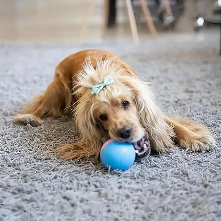 Colverro™ Self-Rolling Smart Ball Toy for Cats and Dogs with 3 Modes