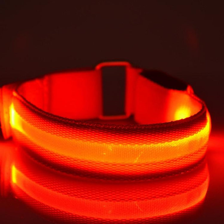Colverro™ Glow-in-the-Dark LED Safety Band for Running and Biking