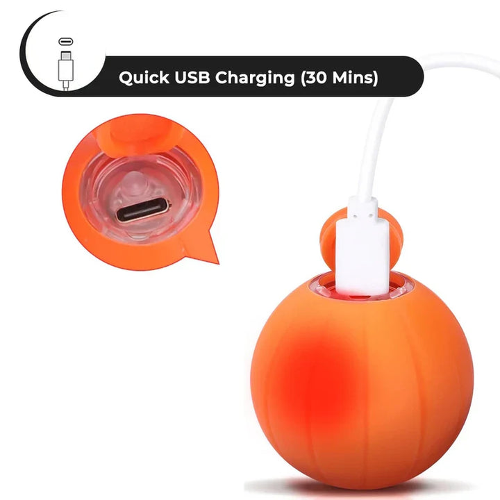 Colverro™ Self-Rolling Smart Cat Ball with 3 Interactive Play Modes